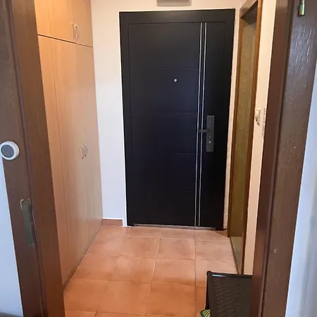 Stankela * Novi Sad