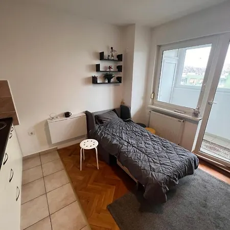Stankela * Novi Sad