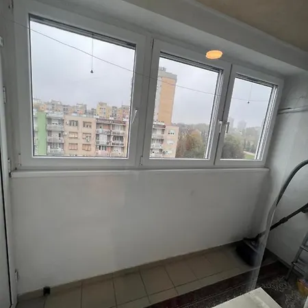 Stankela * Novi Sad